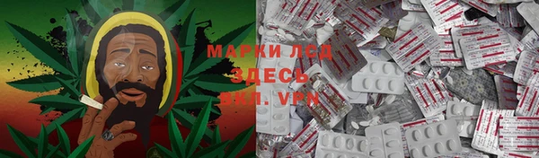 индика Алзамай