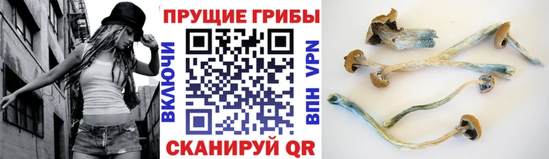 Галлюциногенные грибы MAGIC MUSHROOMS  Кохма 