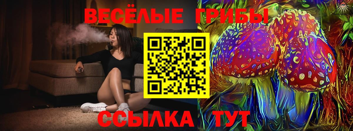 Галлюциногенные грибы ЛСД  где купить наркотик  Кохма  Галлюциногенные грибы ЛСД  Вход с VPN 