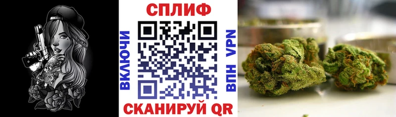 Бошки марихуана планчик  OMG   Кохма 
