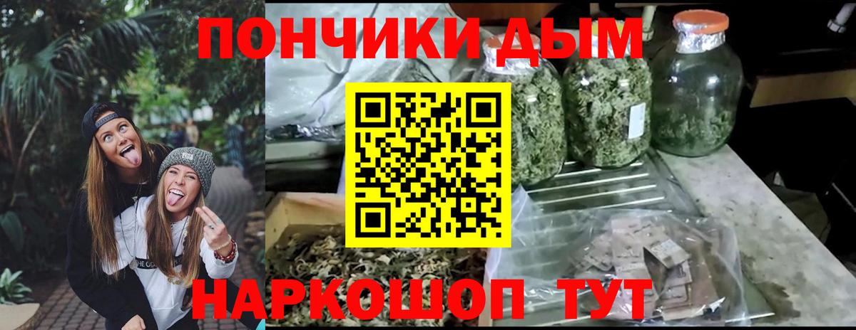 Бошки Шишки THC 21% Кохма